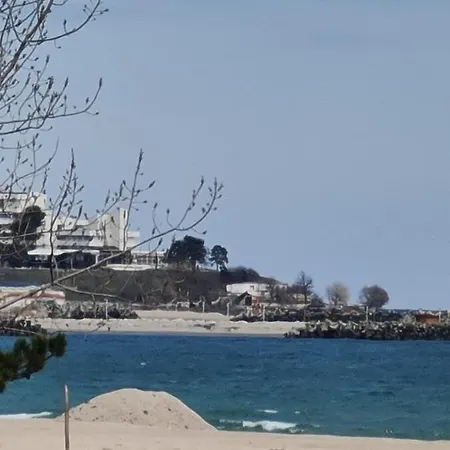 Hotel Zaya